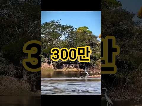 Music by LEE BEA HO 운명의순간