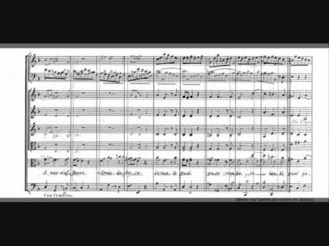 SARA MINGARDO. Pena Tiranna dell'opera Amadigi di Gaula di Händel