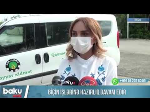 Keçən il olduğu kimi bu il də ilk növbədə 50 hektara qədər olan sahələrdə biçin aparacaq.