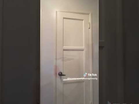 LB0319 - Video 2 of 2