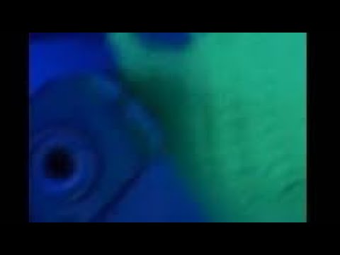 Lil Dew’ - DBZ (Prod.KILHEEN)