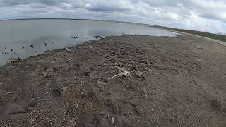 Choke Canyon Lake water levels 8% Full - VERY LOW