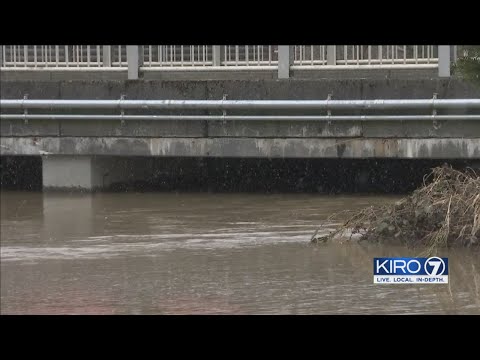 VIDEO: Clean up in Sumas continues as flooding recedes for second straight day