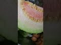 Good Morning Sorts Shortvideo Yummy Foodie Viralvideo