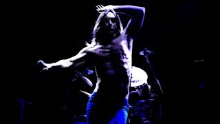 Iggy Pop - The horse song..