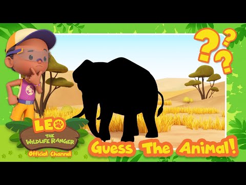 Witness21  2023 08 04