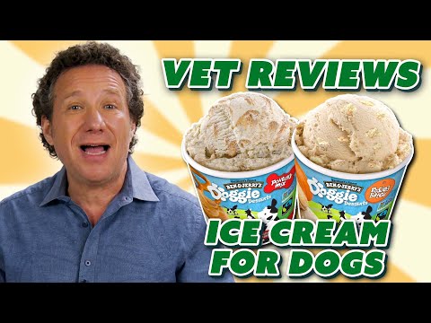 Vet Rates Dog Ice Cream by Nutrition (+ Easy DIY Recipe)