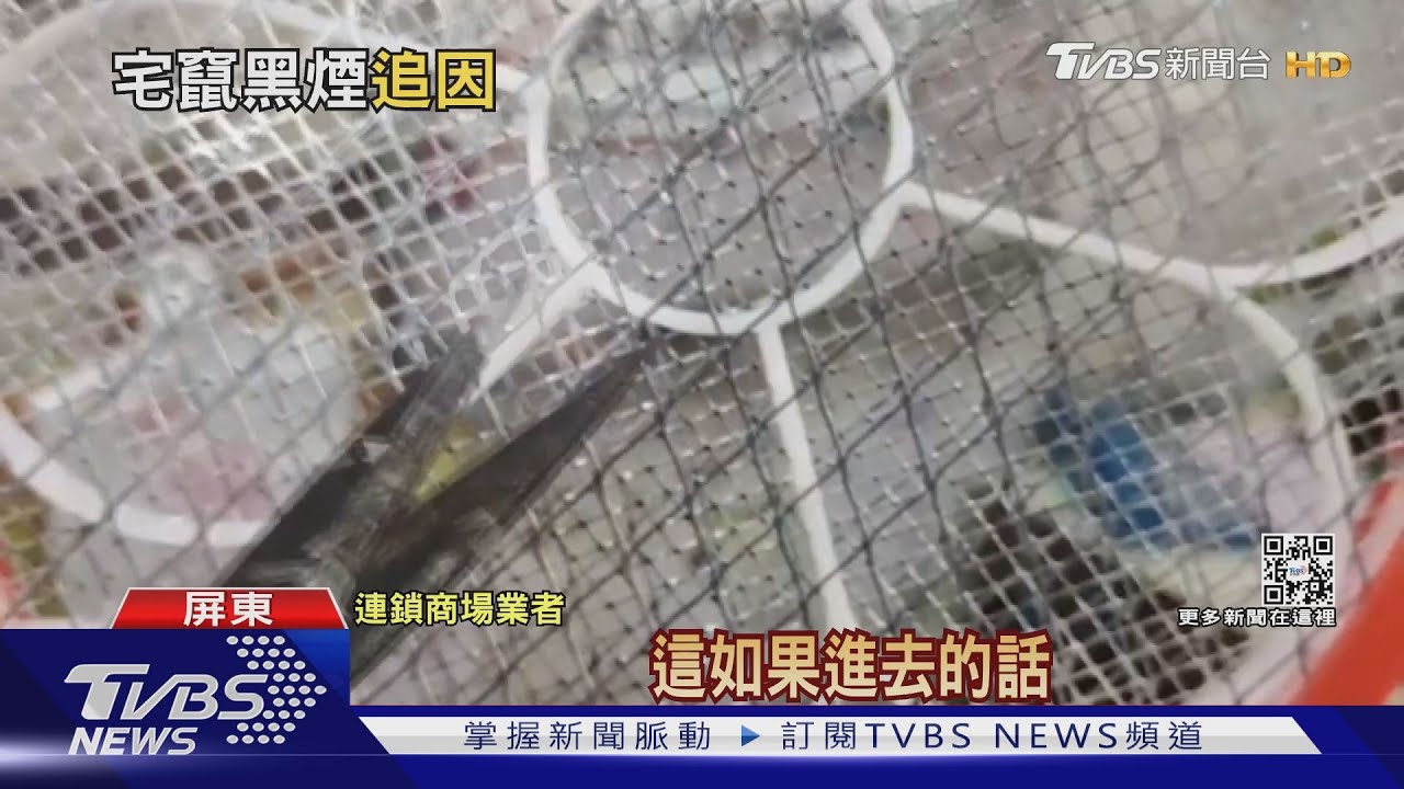 電蚊拍充電成「火球」 2警破門狂噴滅火器