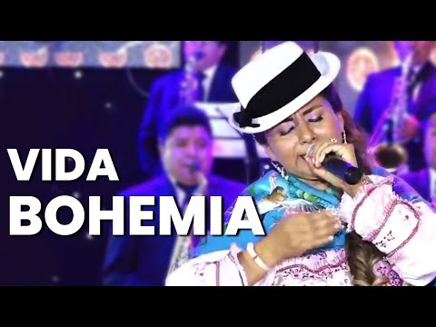VIDA BOHEMIA ❤️ HUAYNO DEL RECUERDO Bella Golondrina del Perú