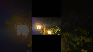 Download lagu Mat Aazma Re [ Slowed & Reverb ] - Lyrical Video || Murder 3 || KK | Pritam || Lyricssayss mp3