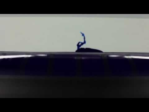 Wolfgang Tillmans - Make It Up As You Go Along - Fragile