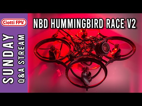 NBD Hummingbird Race v2 is INSANE - #6batteries - Q&A