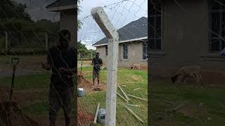 Download lagu Tiang beton setinggi 10 kaki & pagar kawat jaring setinggi 8 kaki di Kitale - betonkan perimeter untuk mencegah hewan pengerat. mp3