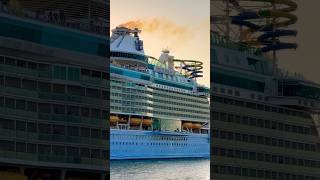 Freedom of the Seas 🛳️ #royalcaribbean #travel #cruiseship #cruise #vacation #shorts #travelshorts