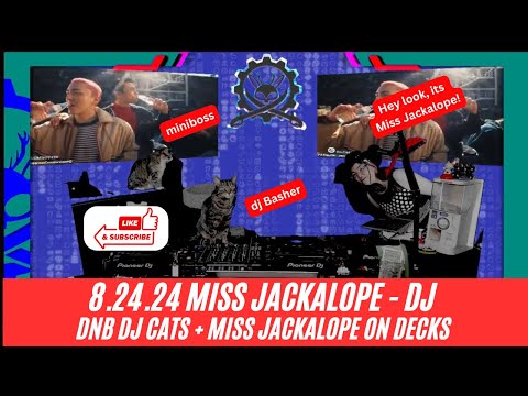 8.24.24   DNB DJ Cats and Miss Jackalope Throw Down Hard!