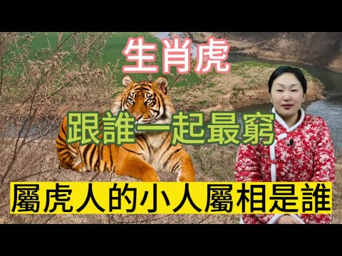 屬虎男愛情