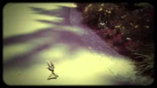 Girl Boy -- Blonde Redhead