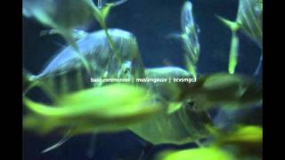 Bass Communion vs Muslimgauze - Three