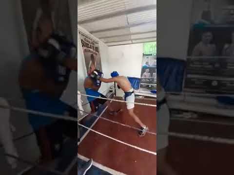 Esparing Con El Chilo Puñaleff Calfin ! 💪