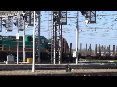 LOCOMOTORE DA MANOVRA D. 145 ARRIVA CON CARRI LEGNAME - CUNEO 17 - 4 - 2014.