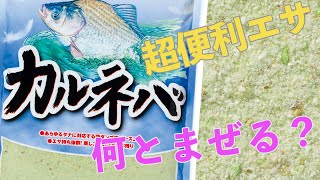 カルネバにまぜるならこれ【野池でへらぶな釣り/メーター両ダンゴ】