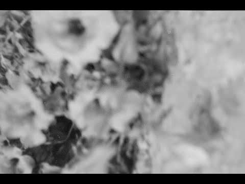 Laz Vegjas - Ista rechenica