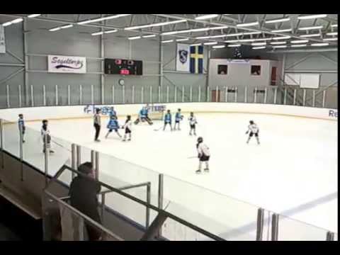 "ECOVIT"-2015 \ HC "Segeltorps IF", 08-01-2015, Stockholm - Sweden -support group-2