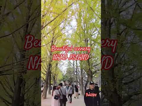 wow #everyone #yt #nami