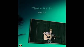 SAM KIM (샘김) - These Walls
