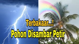 Download lagu Detik - Detik Pohon Kelapa Terbakar disambar Petir mp3
