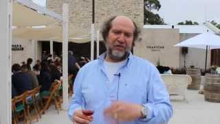 Mar y Pampa - Vinos con aire del Atlántico