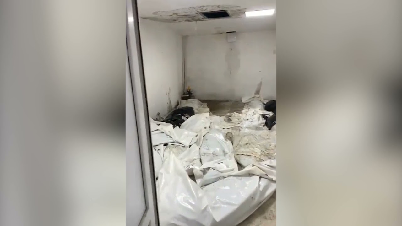 Տեսանյութ Աբովյանի դիահերձարանից