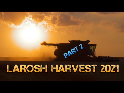 LaRosh Wheat Harvest 2021 (Part 2)
