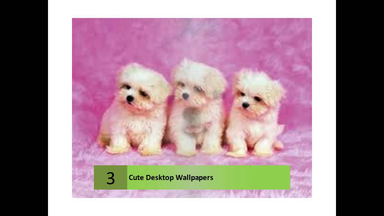 Cute HD Desktop Wallpapers