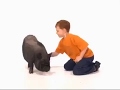 This Is Daniel Cook Intro