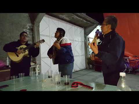 Tardes De Bohemia/Trío - Cómo Es Que Pudo Ser? (Sonora Santanera)