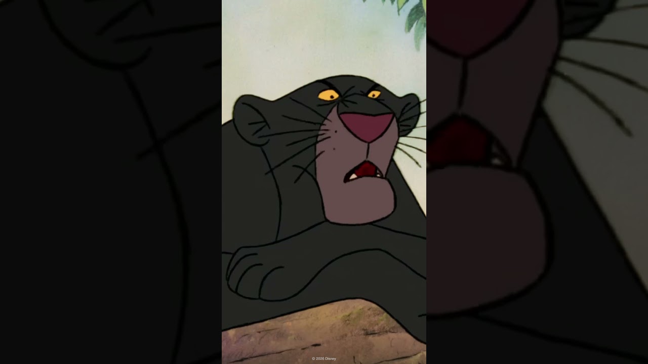 The Jungle Book - Busca lo Más Vital Scene