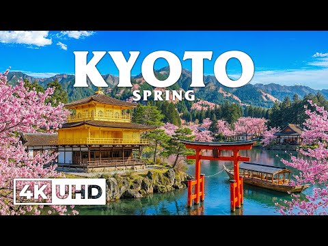Spring Kyoto 4K, Japan 🌸 Cherry Blossom Temples, Philosopher’s Path & Old Streets in Soft Bloom Air
