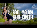 Satu Malam Dua Cinta Remix DJ Goyang Goyang Tata Julita