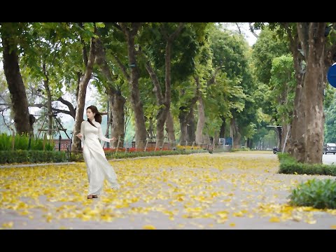 Ngày trời lộng gió - Hồng Tước