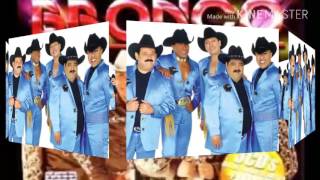 MALA COSTUMBRE BRONCO