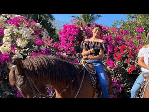 Free as the wind “voices of the soul alvizar