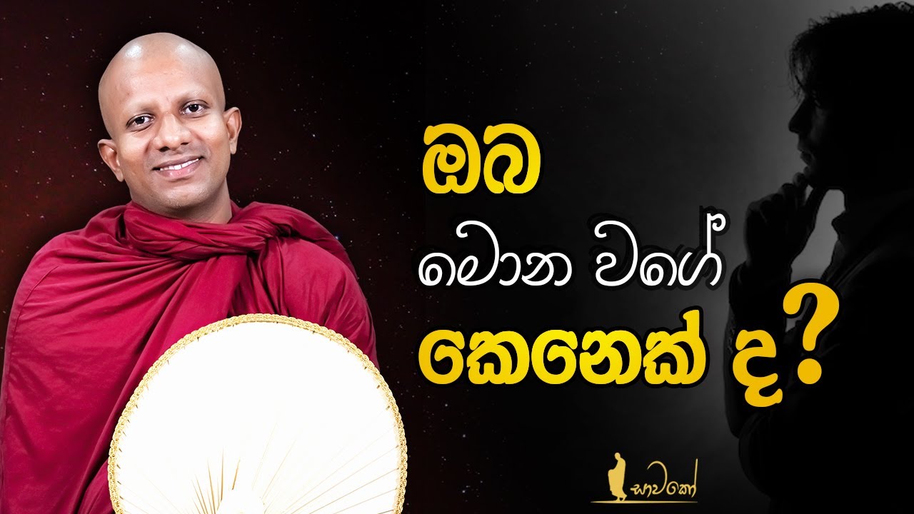 ඔබ මොන වගේ කෙනෙක් ද?