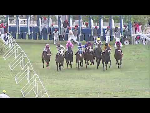 RM32 R8 | The Dazzler | M.Martinez