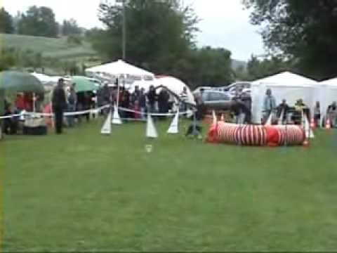 HSF Heiligenberg-Frickingen Oli & Drift Spiel