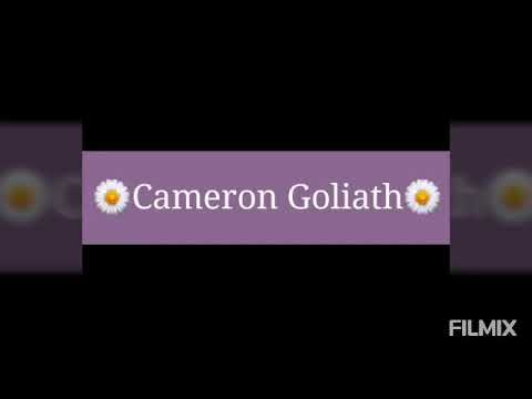 Maatskaplike kwessie