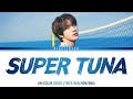 BTS JIN - SUPER TUNA (슈퍼 참치) [Color Coded Lyrics/Han/Rom/Eng)