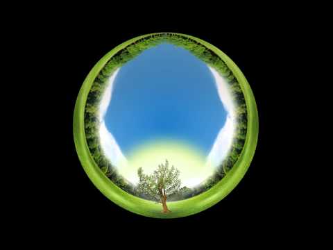 Vídeo Animação 2D - Tema Árvore para Santa Casa - Versão Fulldome