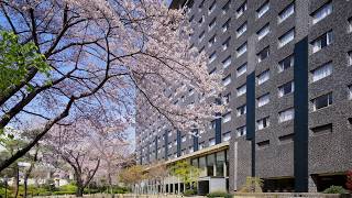 Grand Prince Hotel Takanawa | Tokyo, Japan | Hotel Review 🏩