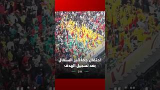 احتفال جماهير السنغال بتسجيل الهدف الأول في شباك منتخب المغرب thumbnail